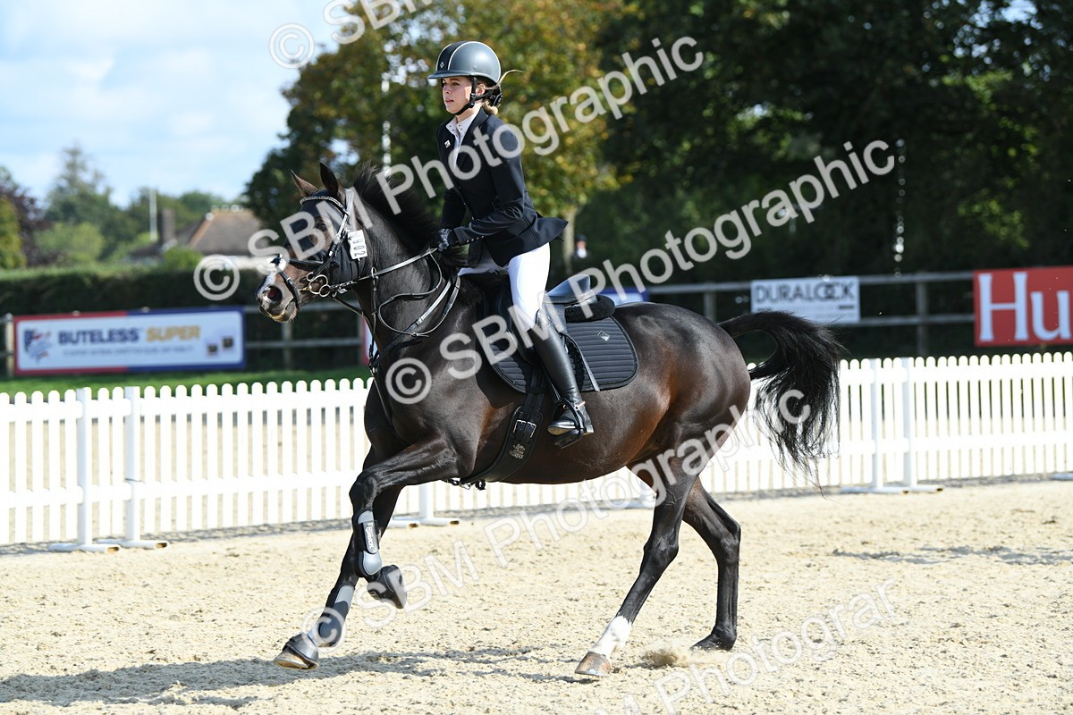 SBM_61744 - j25 - Junior Horse 80cm Championship