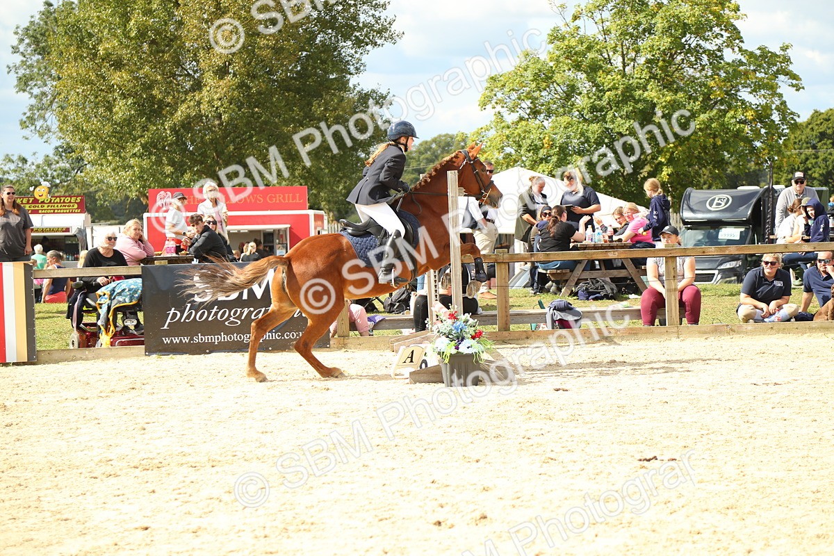 SBM_41396 - J6 - Junior Pony 55cm Championships