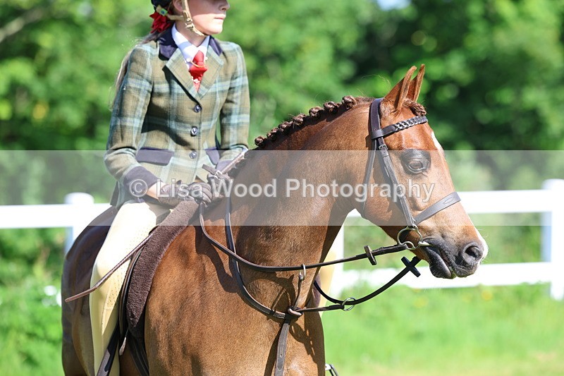 3E7A6028 - Class 27: Novice Working Hunter Pony