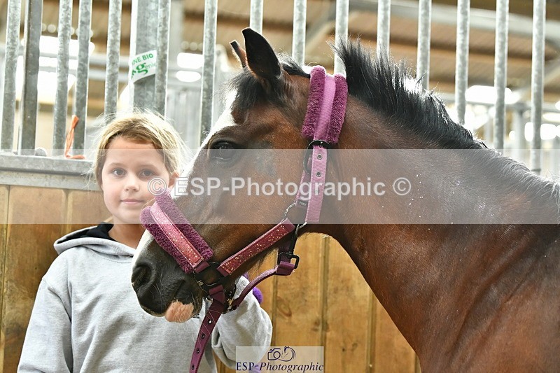 230804A-094951-02206 - Stable Shots