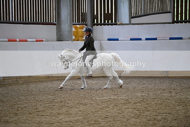 WJ5_6272 - Class 9 Ridden Veteran