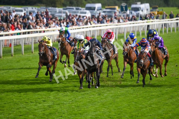 250823-Race 6-Battle Cry-1018 - Race 6 4.45pm British EBF 40th Anniversary Convivial Maiden Stakes