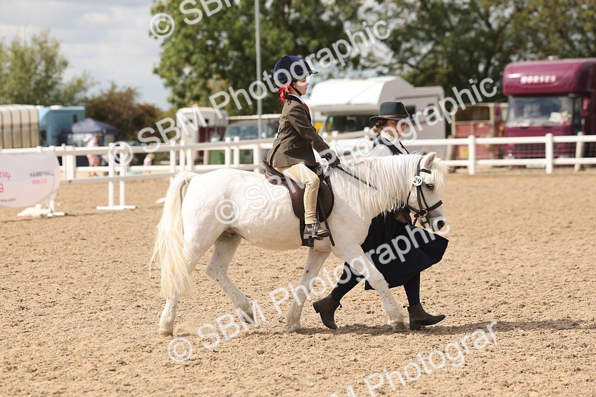 SBM_15770 - Class 309 - Lead Rein Pony