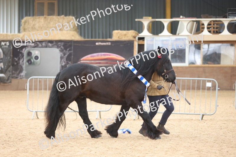 20251109-1256 - Supreme Championship