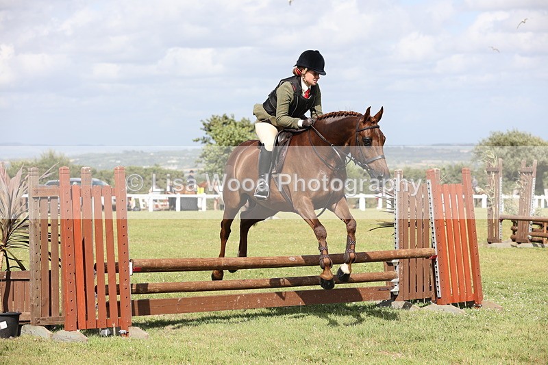 JPP_2542 - Class 20: Working Hunter 70cm