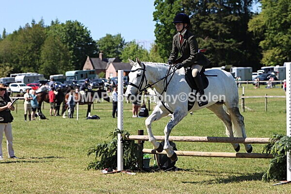 IMG_3965 - Working Hunter
