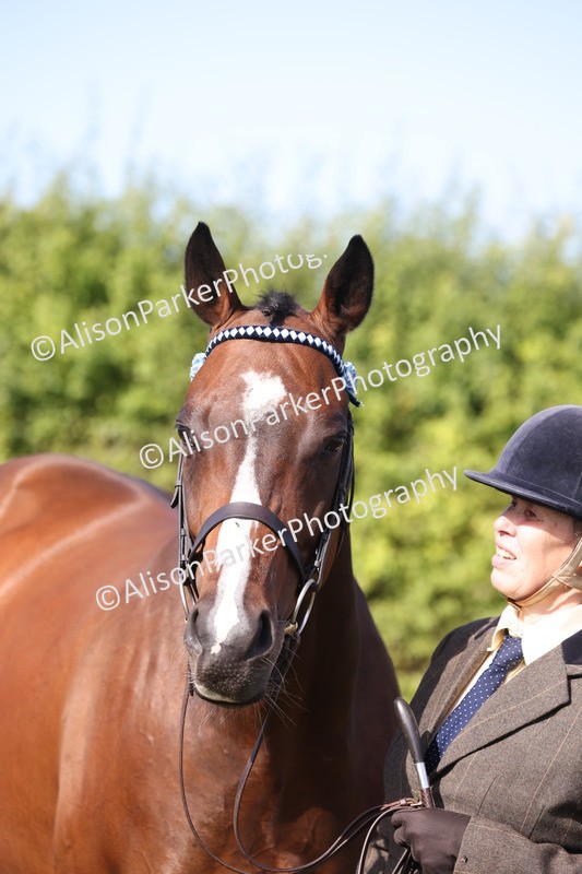 20260906-0703 - Class 22 - Ex Racehorse