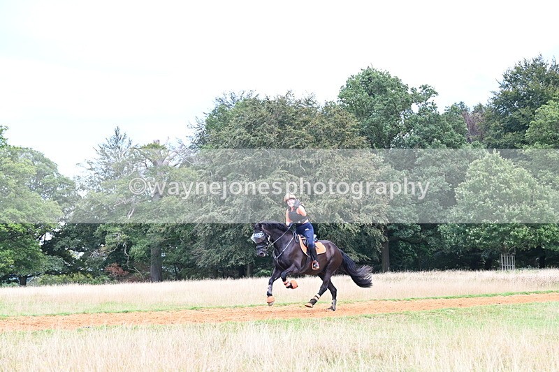 DSC_8834 - Time at Statue 14:33 to 15:10