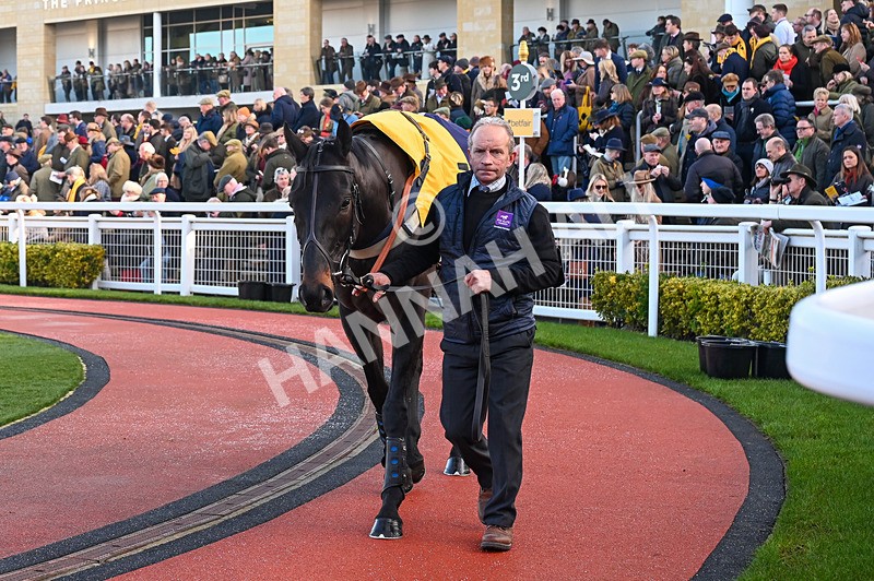 250125-Race 2-Galactic Charm-2993 - Race 2