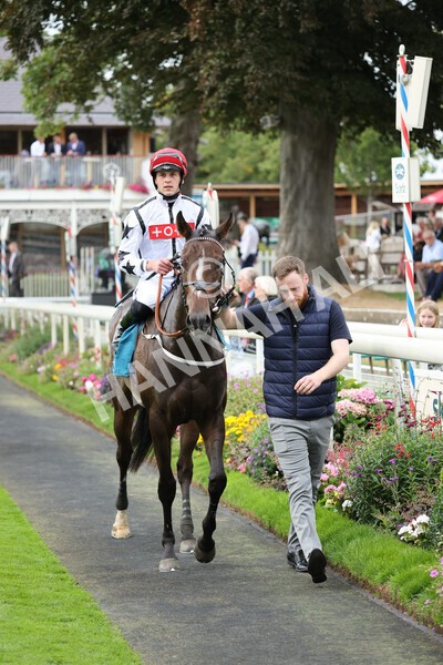 yr04092022r4-33 - Race 4 3.30pm Federation of Bloodstock Agents Nursery Handicap