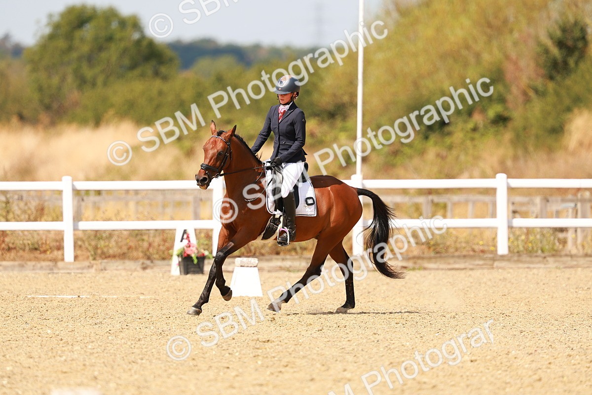 SBM_018504 - Class 9 - N5 Bronze 11.57.13.07