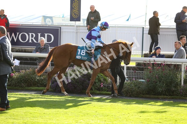 yr07102022r5-7 - Race 5 4.25pm Copper Knight Winningmost Horse Stakes