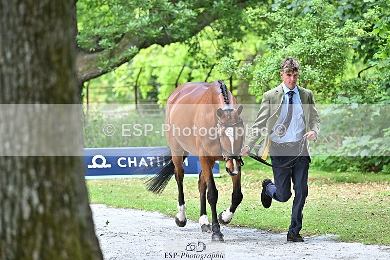 250521A-143640-00113 - A-010-George.Vergerson-Rowley-POPPYS.LAW