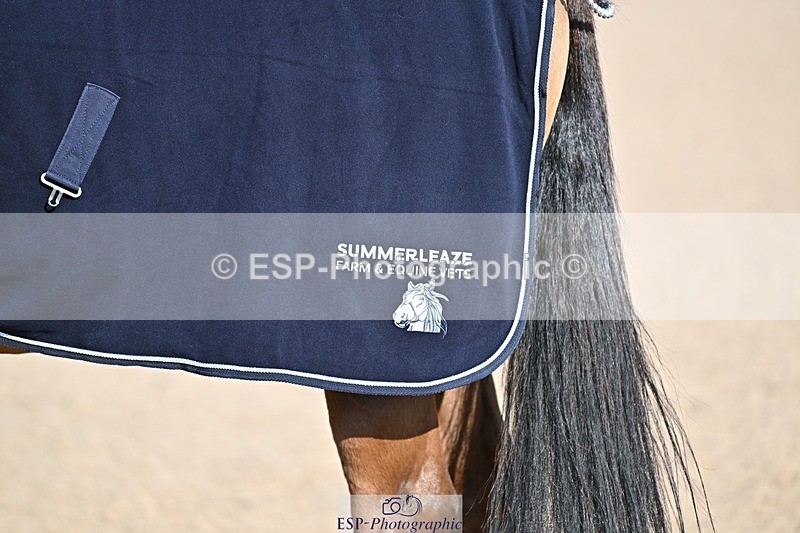 250301-141713-01867 - Dressage Presentations