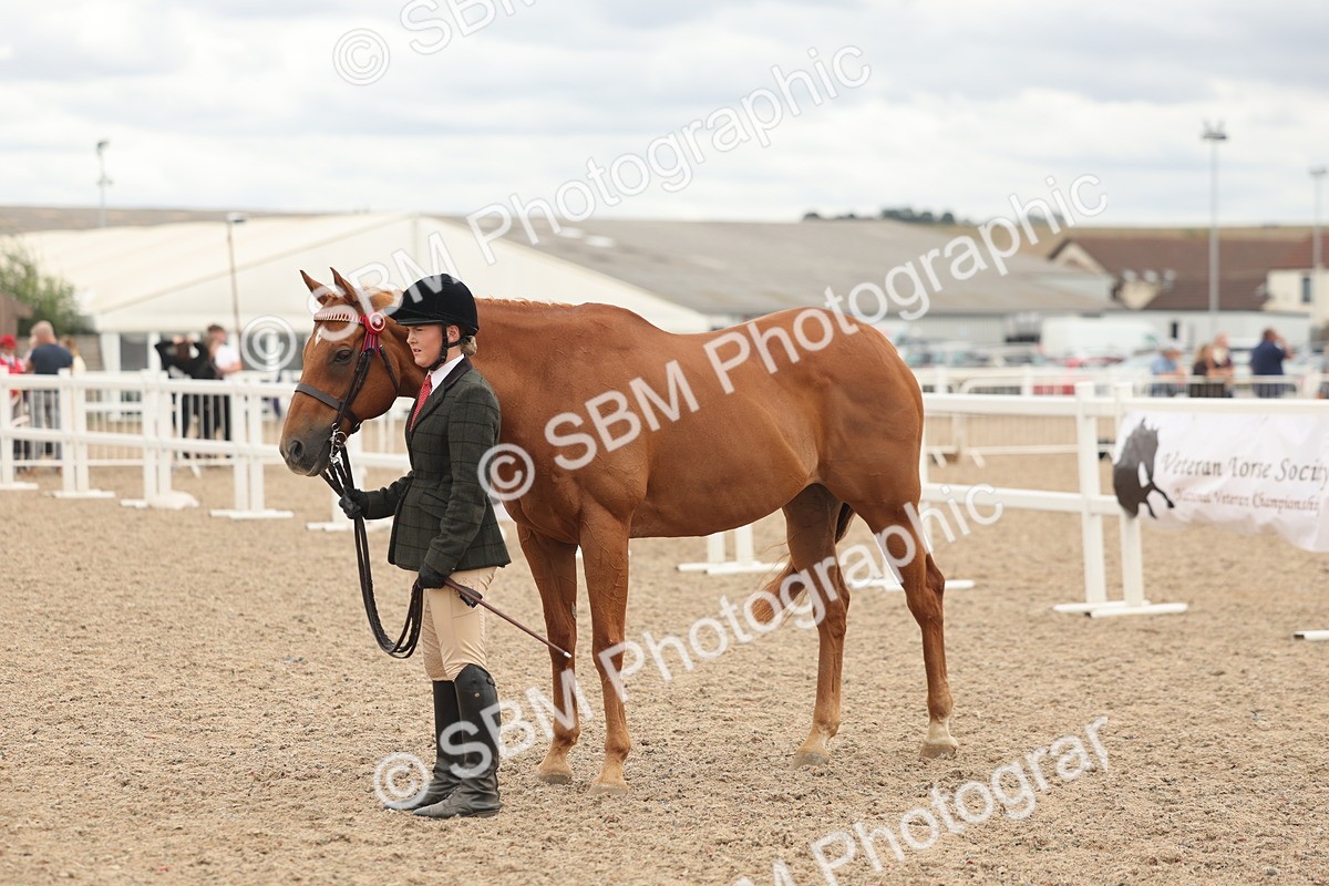 SBM_17101 - Class 313 - IH Retired Racehorse