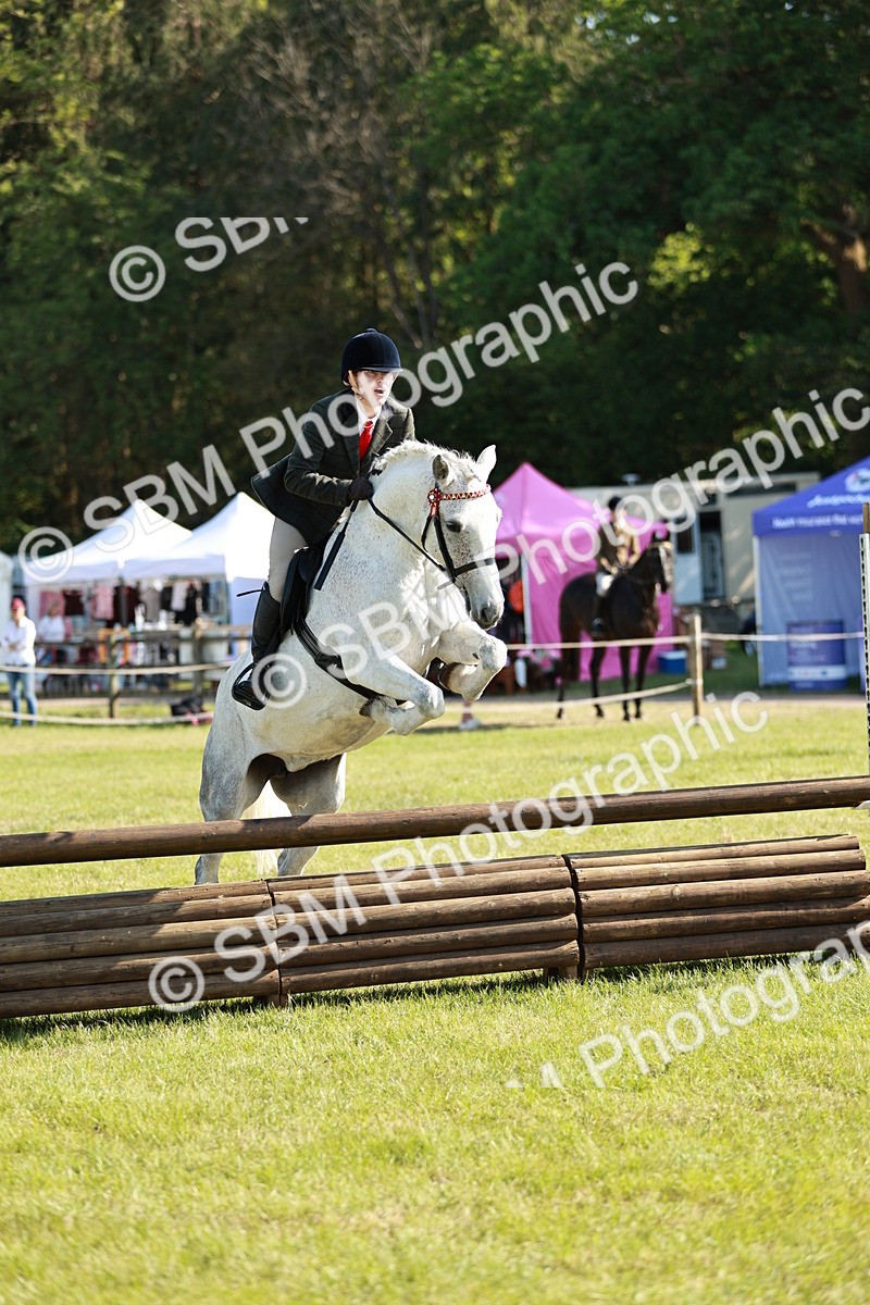 SBM_19207 - Class 115-116 - LIHS BSHA Rising Star Working Hunter & Show Horse