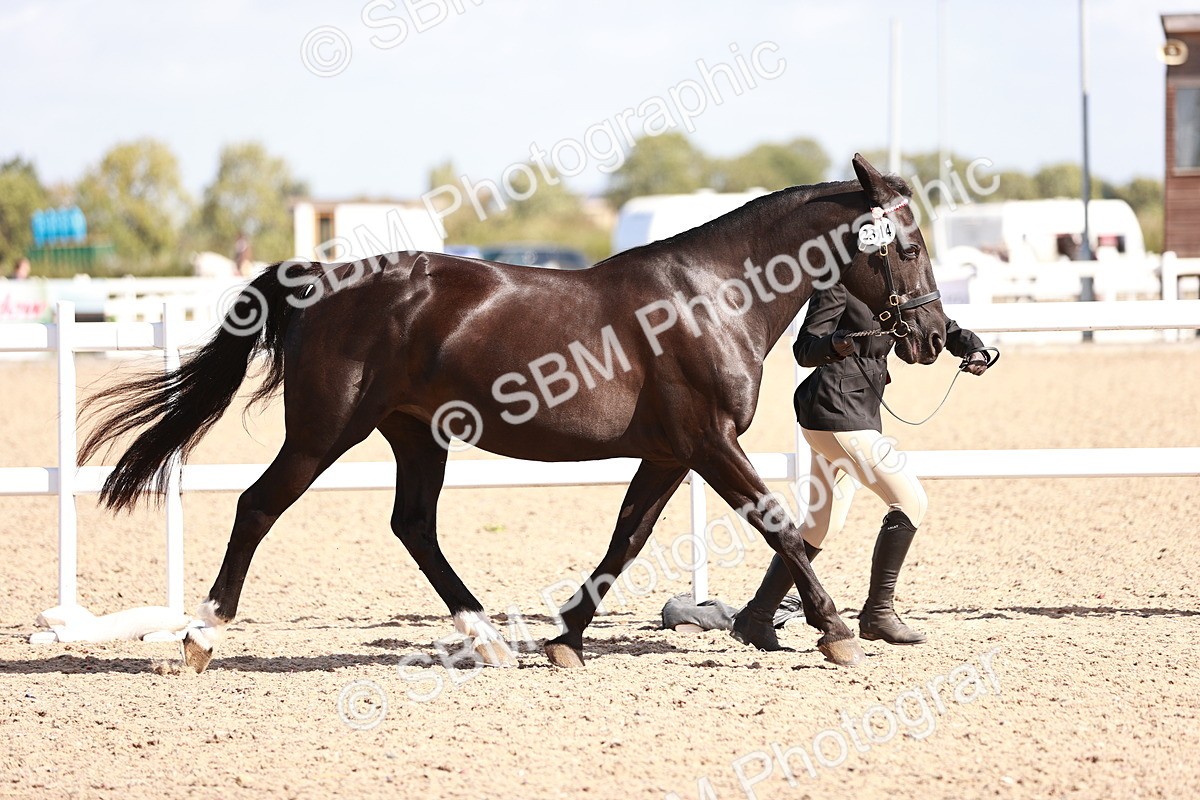 SBM_22882 - Class 706 - IH Veteran