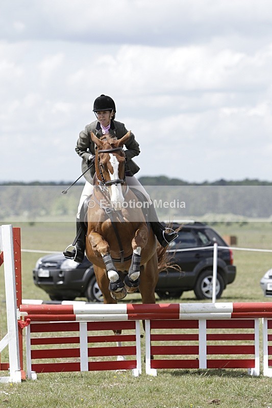 BVHT 140517 N-380 - Class 2 SJ Novice 14/05/17