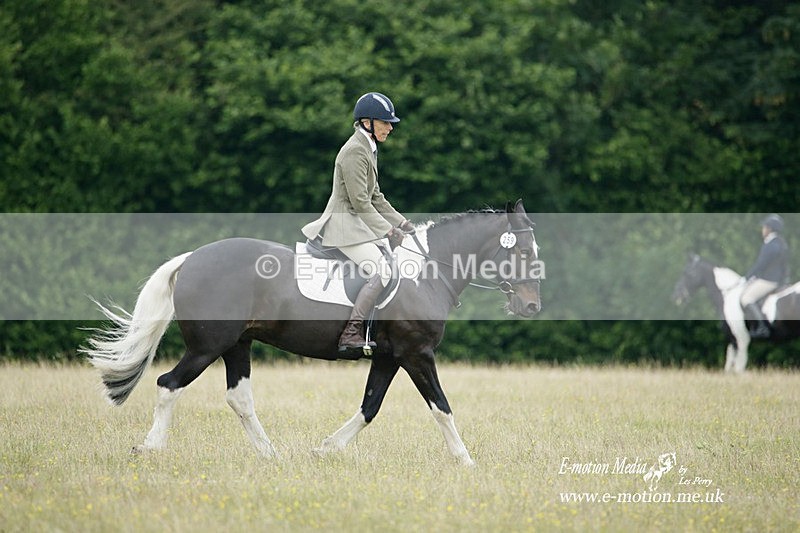 BVRC 030721 363 - Bourne Valley Riding Club Dressage 03/07/21
