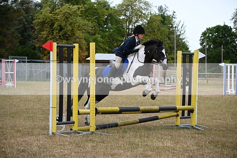 WJ6_9954 - Class 13 Novice Jumping 60cm