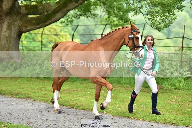 240522-160116-00649 - 114-NICO-Holly_Clarke