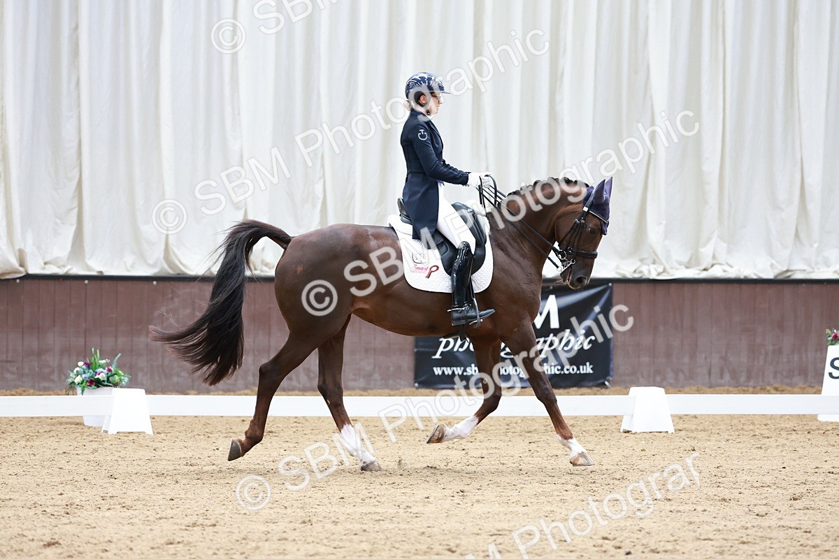 SBM_018085 - Class 15 - FEI Junior