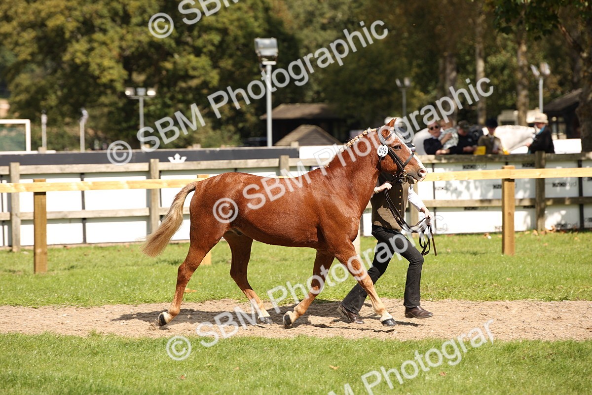 SBM_44402 - S24 - Young Veteran in hand