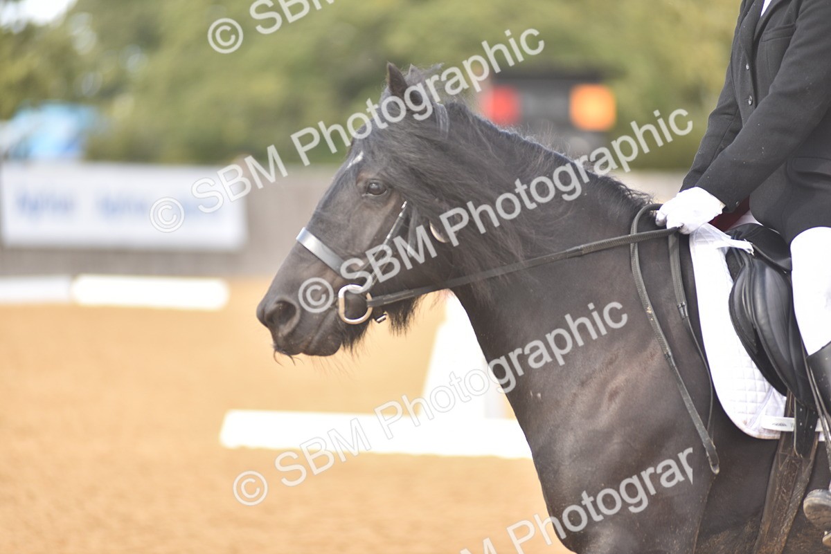 SBM_48796 - D22 - Junior Championship Intro 3
