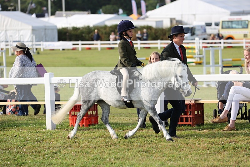 JPP_0178 - Class 14: Cornish Combination Leading Rein