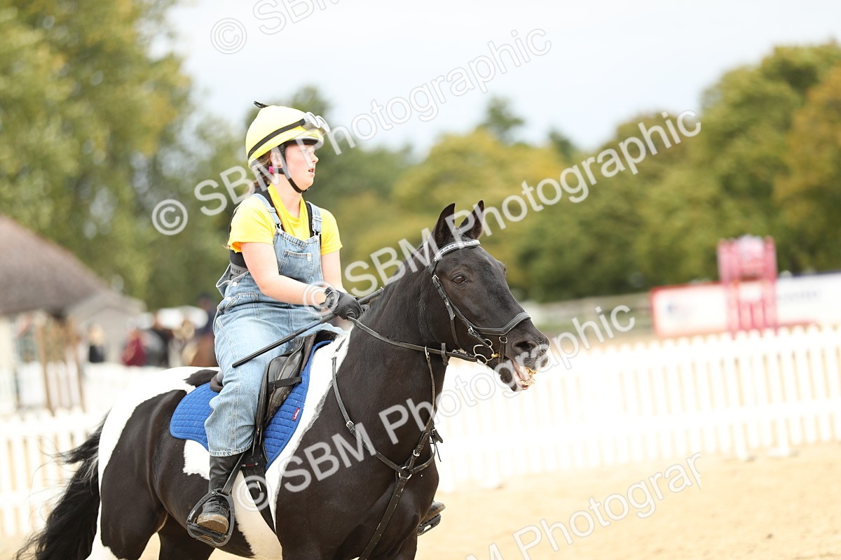 SBM_65653 - J48 - Pairs Jumping Open 70cm & 85cm