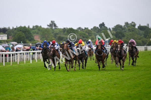 150624-Race 7-Holkham Bay-8155 - Race 7 5.25pm Fordy Marshall Land And Property Consultants Handicap