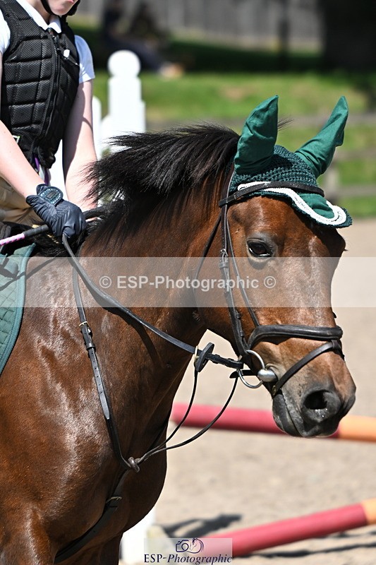240729B-122614-02663 - Showjumping Competition
