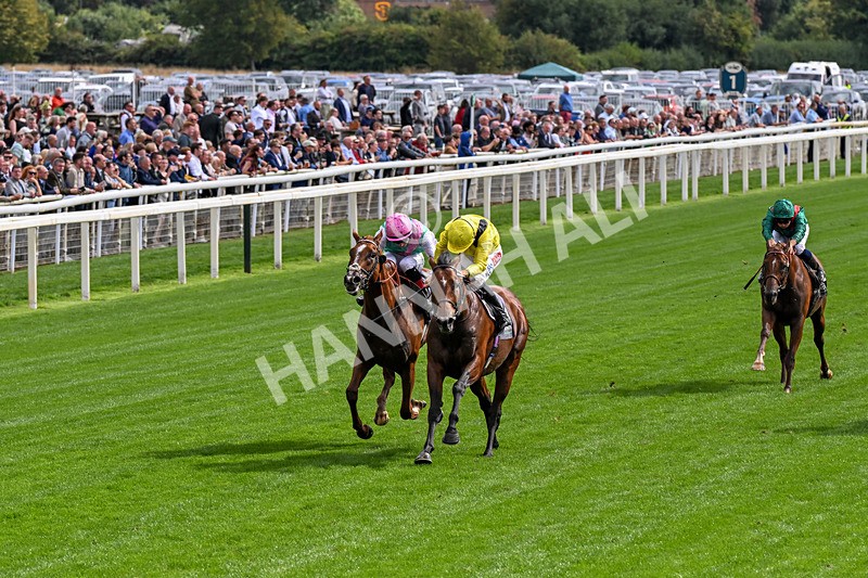 190826-Race 4-Item-0455 - Race 4 15.35pm Juddmonte International Stakes