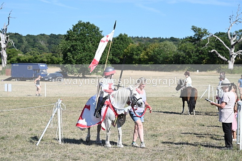 WJ7_2303 - Class 45 Fancy Dress (My Fav)