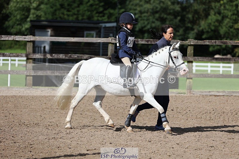 240822X-160413-13071 - 40cm A R1 15.53 to 16.48