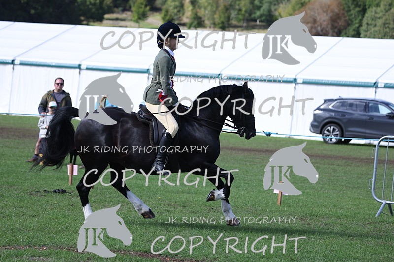 APP_3738 - Class 12 M&M ridden