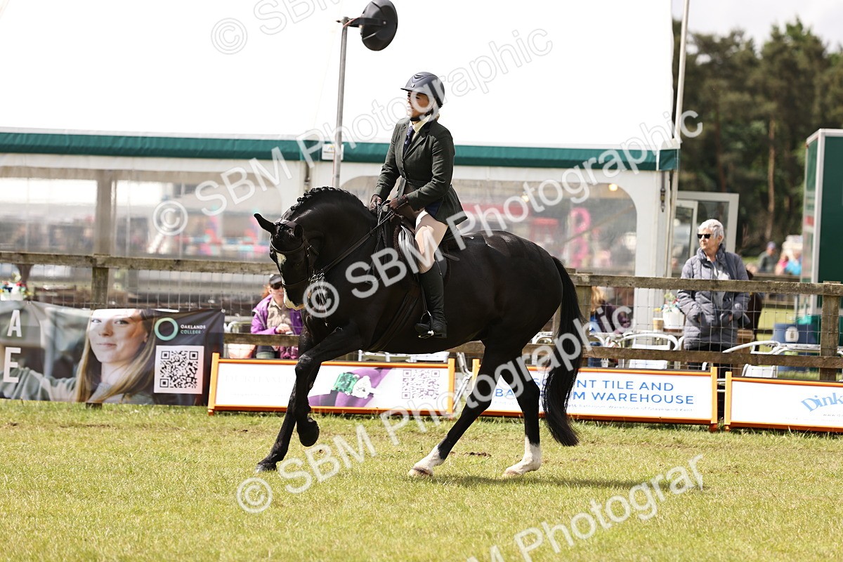 SBM_14580 - Class 88-89 - LIHS BSHA Rising Star of Ridden Hunter Type