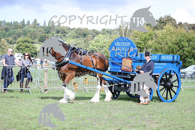 APP_3590 - Class 7 Turnout for a single or pair