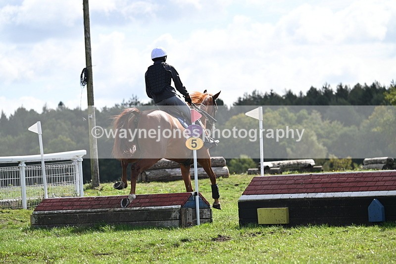 WJ7_0164 - Time 11:02 to 11:34