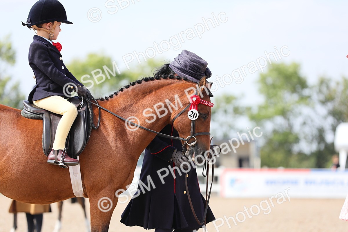 SBM_14052 - Class 309 Lead Rein Pony