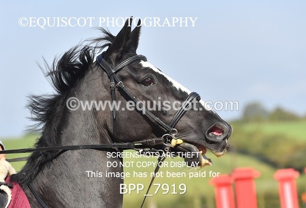 BPP_7919 - CLASS 3 Senior BritiNovice/ 90cm Open