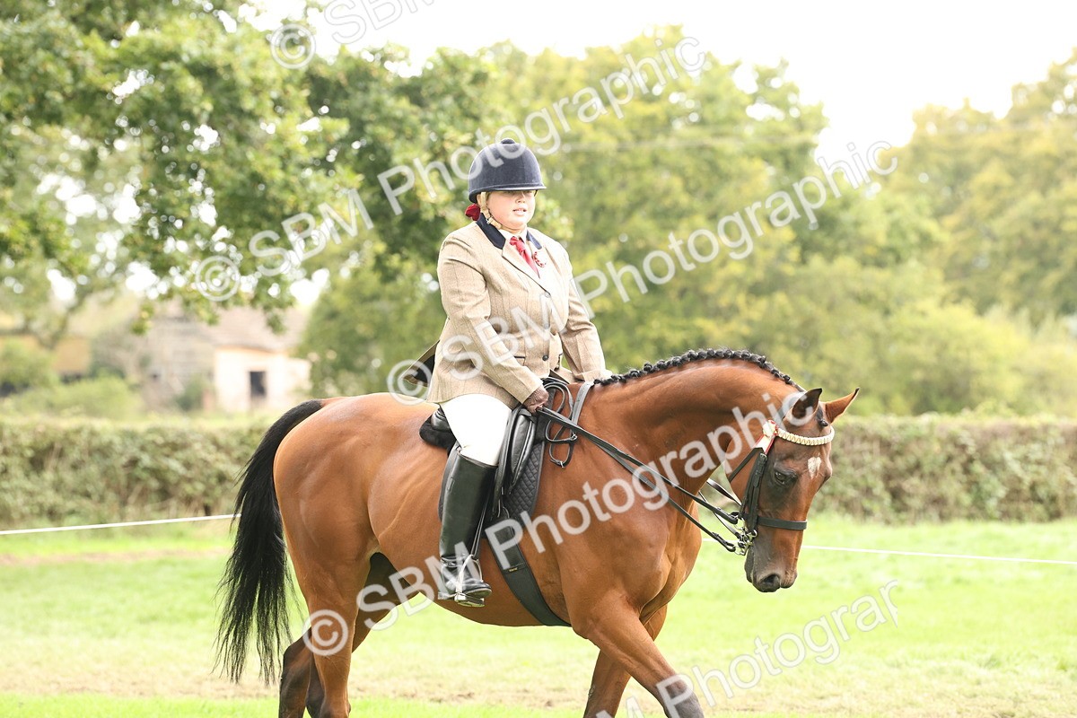 SBM_64140 - S65 - Riding Horse & Hack & Thoroughbred Ridden