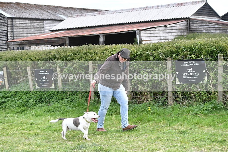 WJ5_9959 - Class 5 Best Veteran / 7 years & over