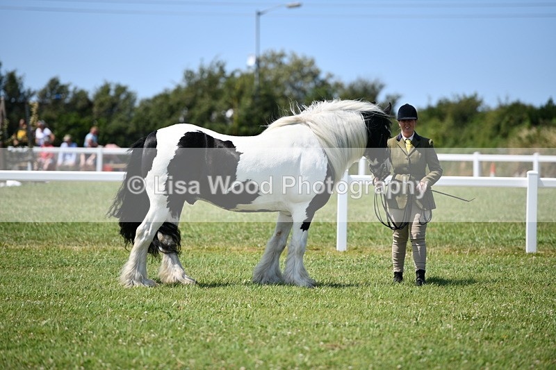 DSC_7631 - Class 64: Coloured Pony 4yrs & over