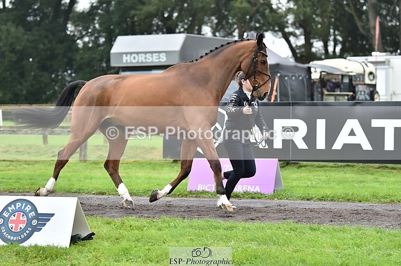 231018-123824-00420 - 050-VENDOME.BIATS-Annabel.Finston-TrotUp