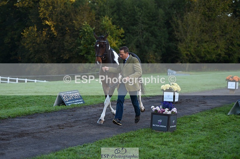 231022-083528-21243 - 640-UP.TO.MISCHIEF-Will.van.Ufford-TrotUp+SJ