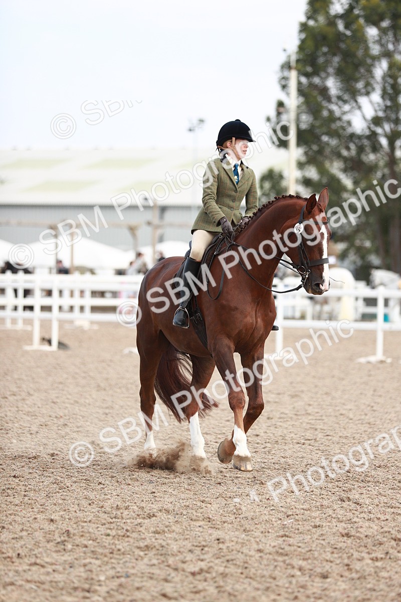 SBM_15544 - Class 213 Ridden Hunter -Large