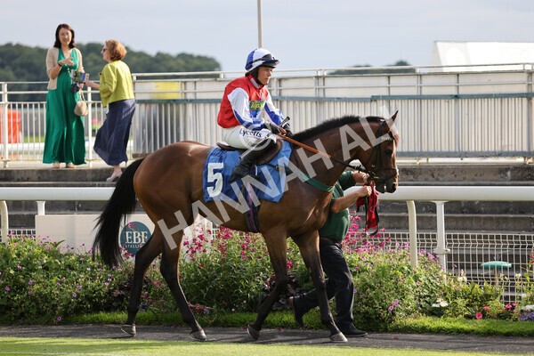 yr23072021r1-9 - Race 1 6.00pm John Wright Electrical Silk Series Lady Riders Handicap