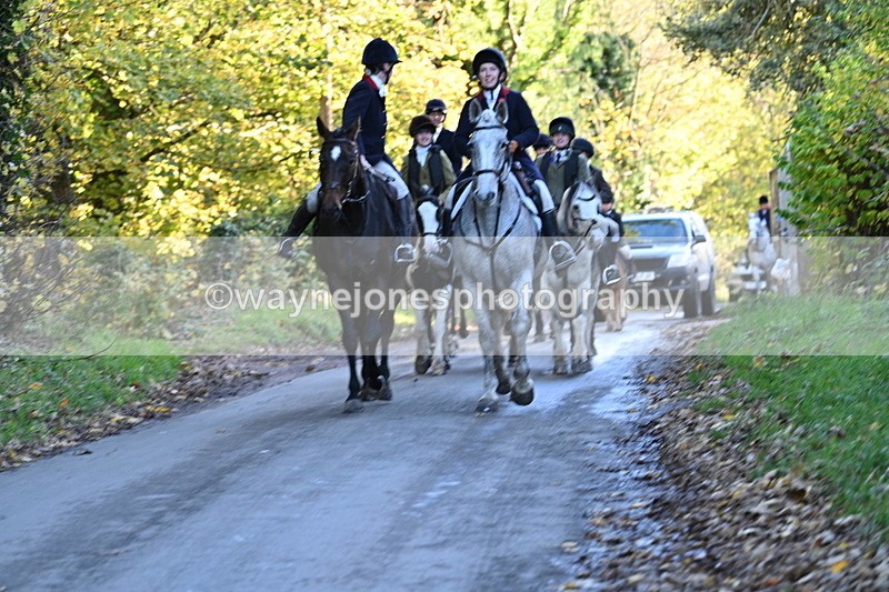 WJ7_8719 - Walk Home