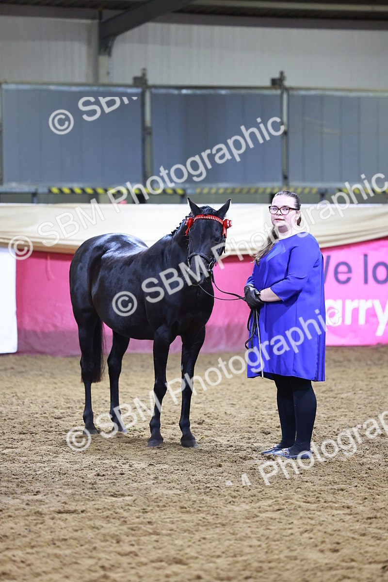 SBM_15546 - Class R - Veteran Champ